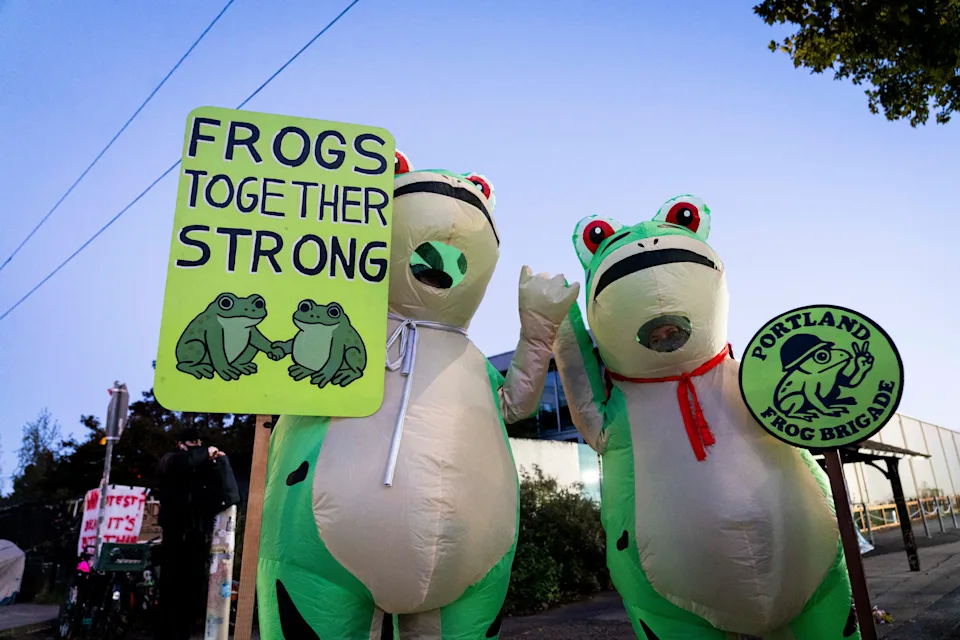 Why Portland Protests Are Drawing Frogs, Sharks and Unicorns