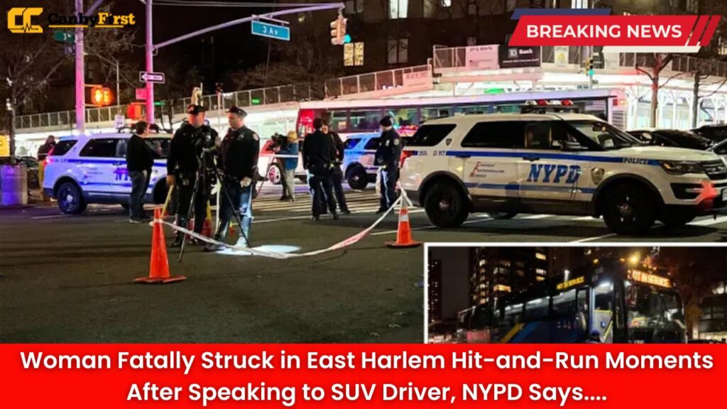 Woman Fatally Struck in East Harlem Hit-and-Run Moments After Speaking to SUV Driver, NYPD Says