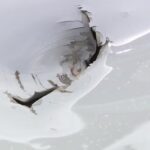 Concrete Falls from Portland Bridge, Damages Tesla — Driver Describes It as “a Bomb Dropping”