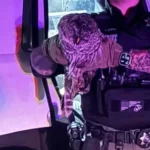 Deputy Rescues Injured Owl in Clark County, Now Recovering at Portland Veterinary Hospital