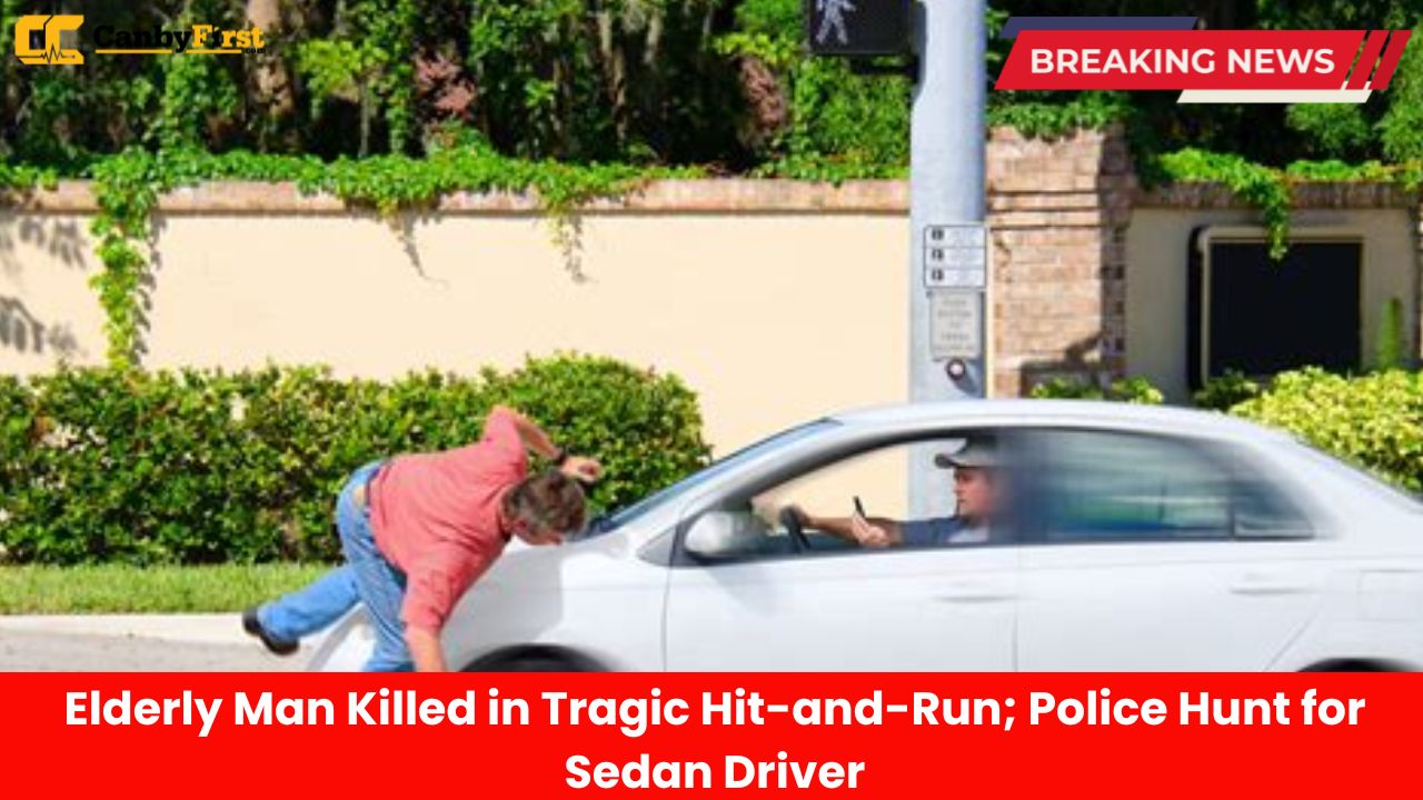 Elderly Man Killed in Tragic Hit-and-Run; Police Hunt for Sedan Driver