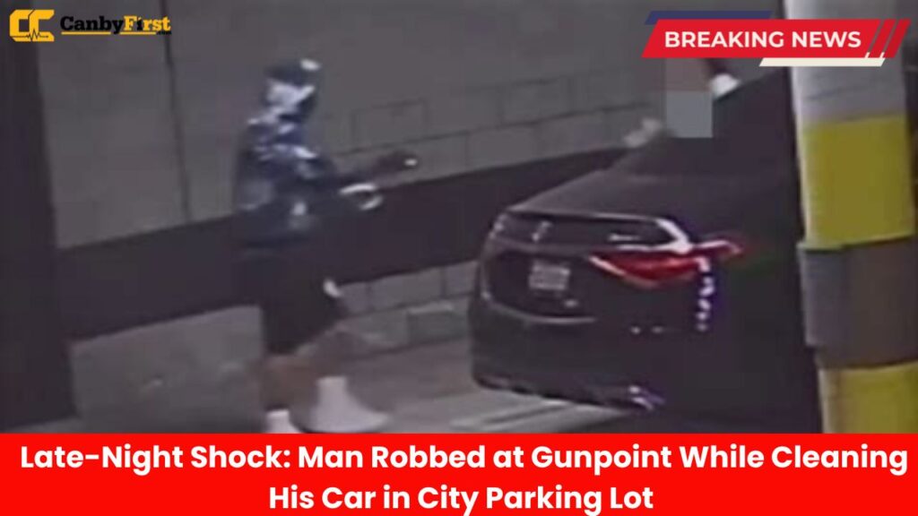 Late-Night Shock Man Robbed at Gunpoint While Cleaning His Car in City Parking Lot