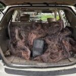 Millions in Copper Theft Damages Lead to Arrests at Northeast Portland Property