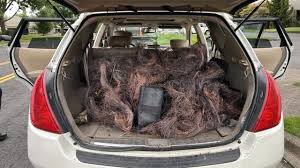 Millions in Copper Theft Damages Lead to Arrests at Northeast Portland Property