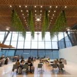 Popular Lake Oswego Restaurant Offers Free Pasta to Kids Affected by SNAP Lapse