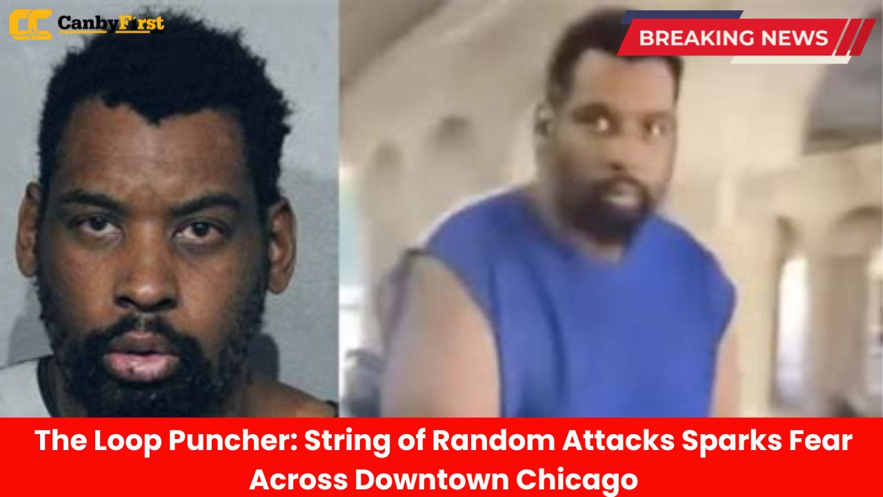 The Loop Puncher String of Random Attacks Sparks Fear Across Downtown Chicago