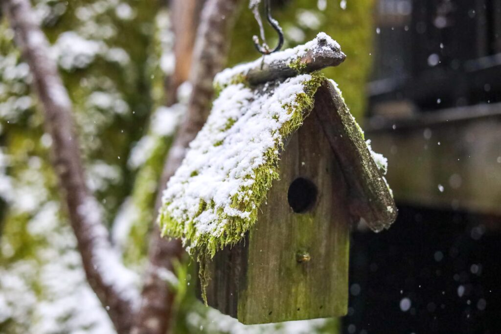 Thousands of Oregonians Face a Heatless Winter as Federal Government Shutdown Drags On