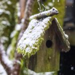 Thousands of Oregonians Face a Heatless Winter as Federal Government Shutdown Drags On