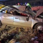 Tiny Wiener Dog Miraculously Found Alive a Week After Being Thrown From Crash in Wyoming