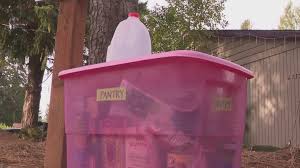 ‘Keeps Us Alive Out Here’: PDX Free Fridges Help Portlanders Facing SNAP Cuts